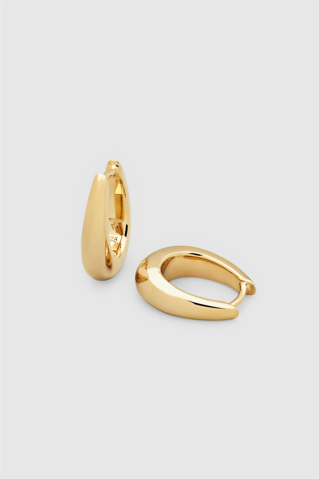 Liz Hoop Gold