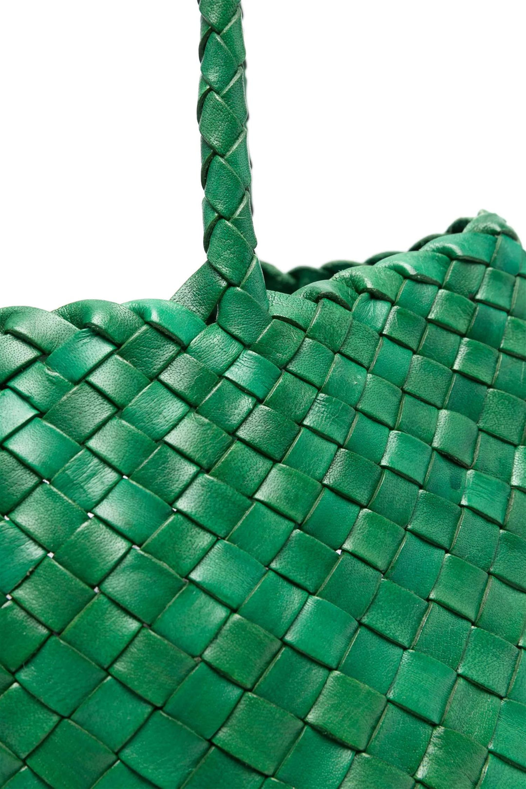 Santa Croce Big Parrot Greed