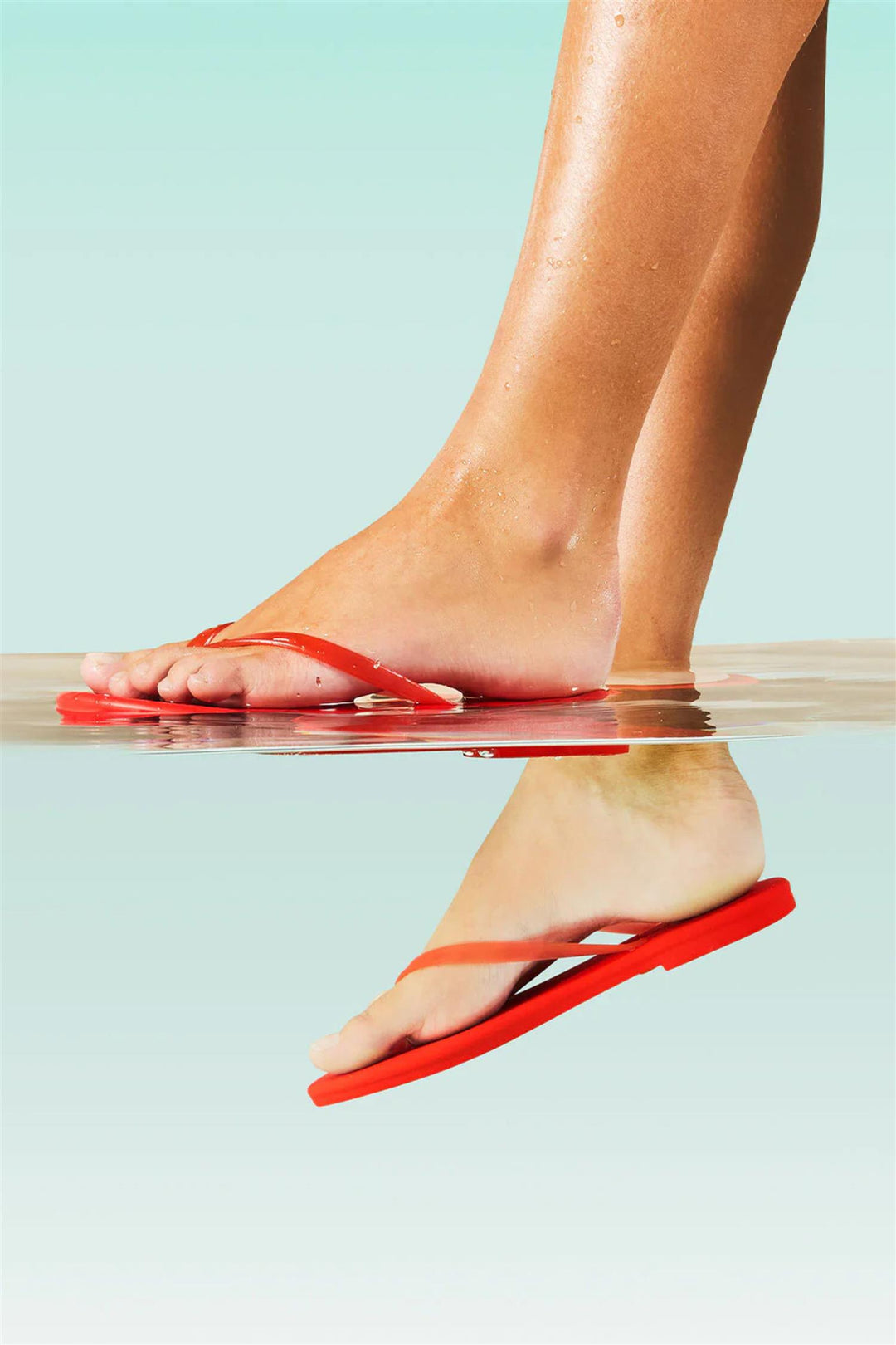 Aqua Red