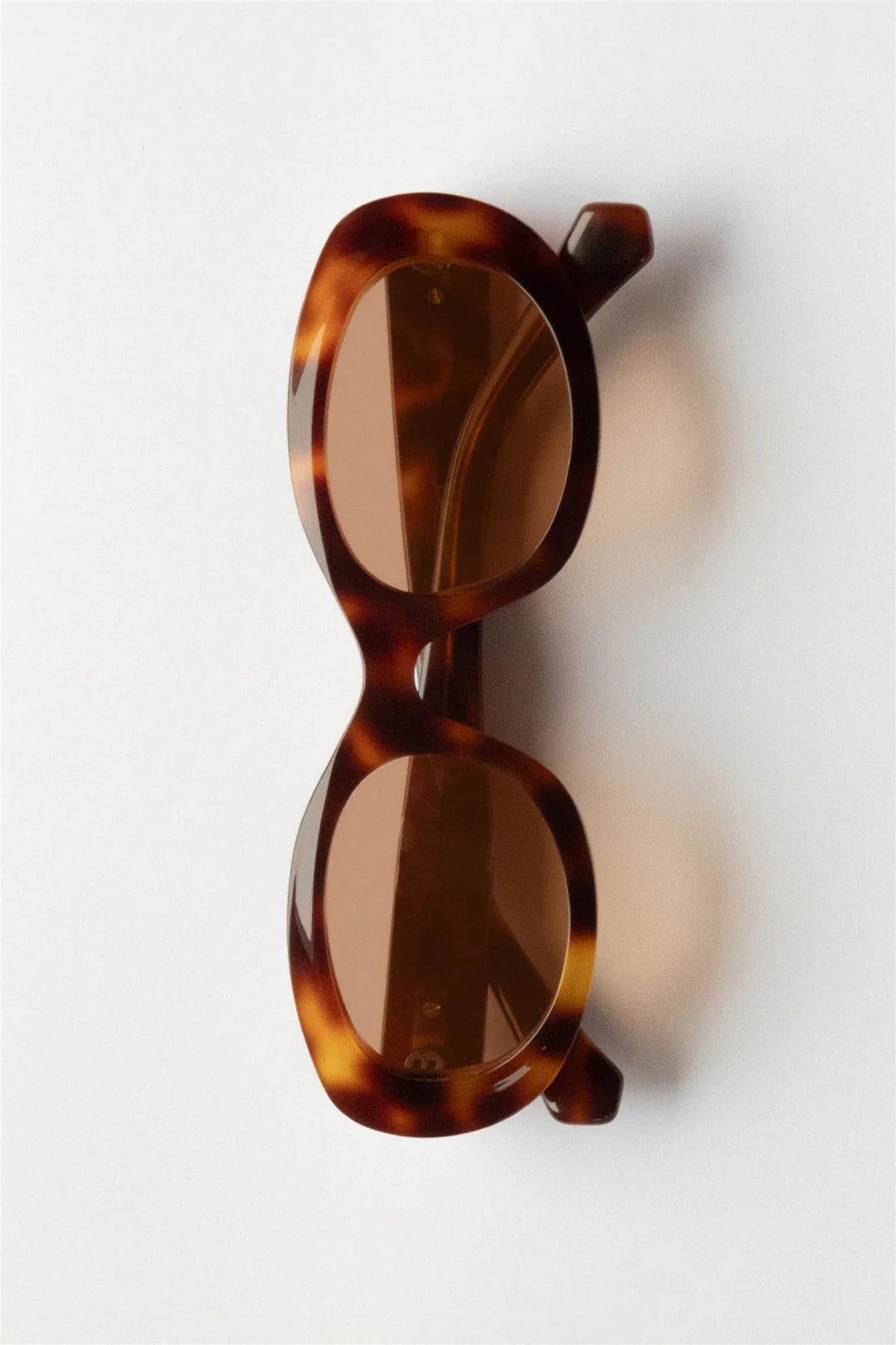 Carpi Tortoise/Cinnamon