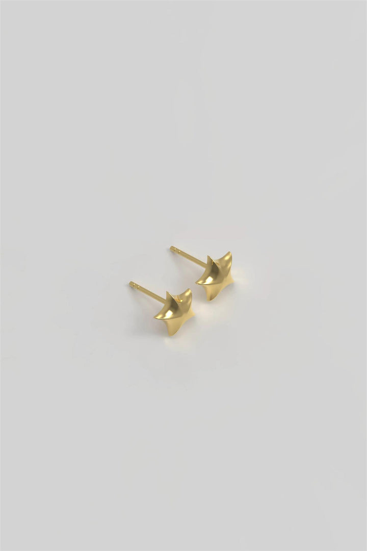 Star Ear Studs Plated