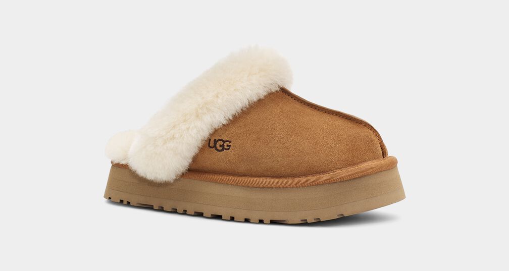 Disquette Slippers Chestnut