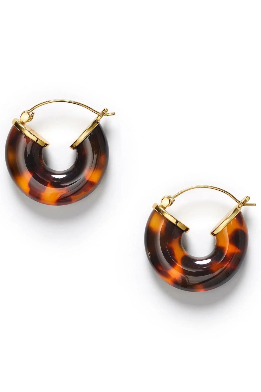Big Swell Hoops Golden Tortoise