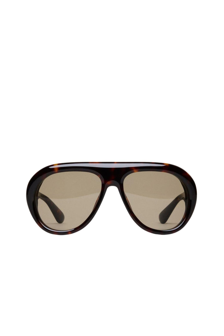 Tony Tortoise/Green