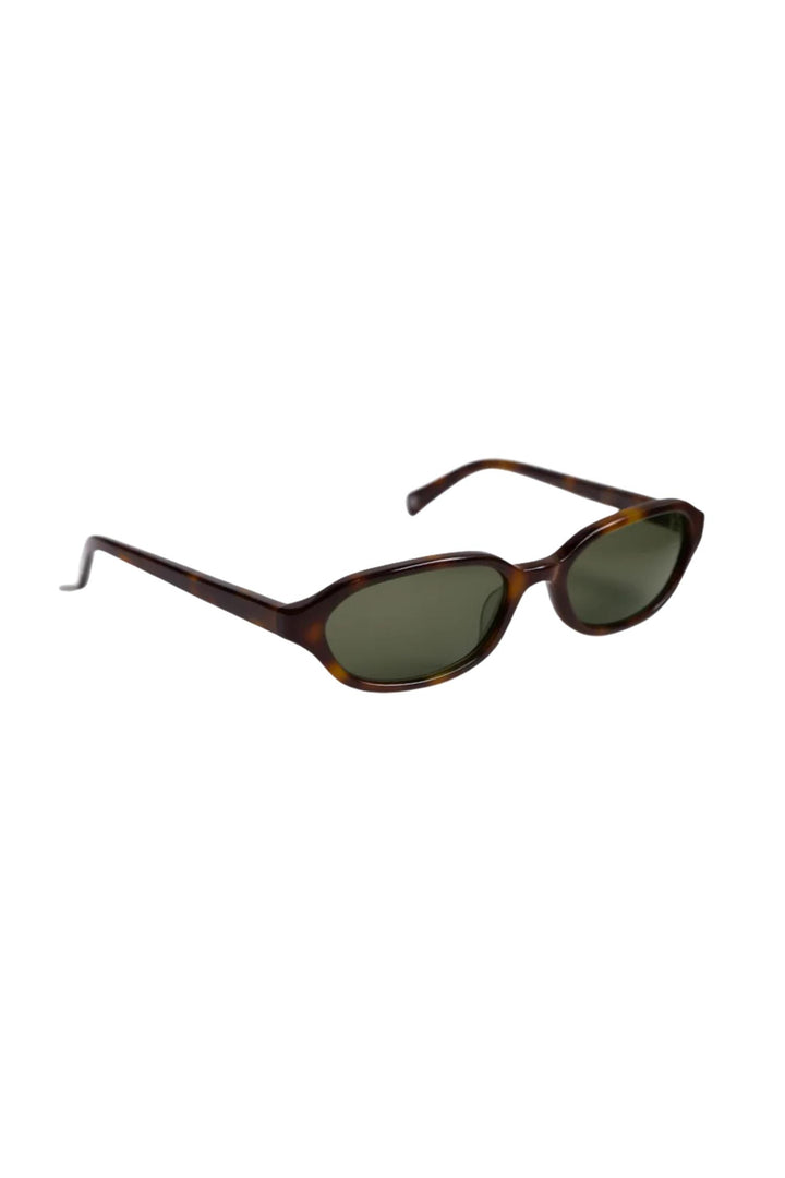 Aidan Tortoise/Green