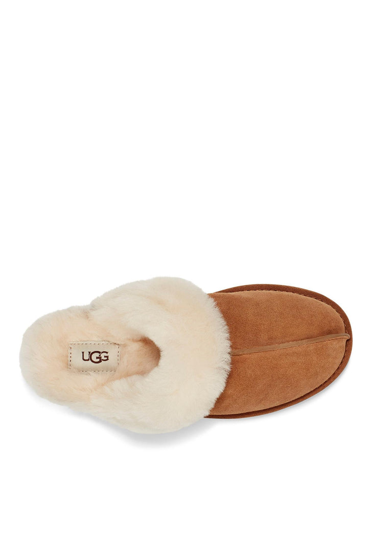 Scuffette II Chestnut