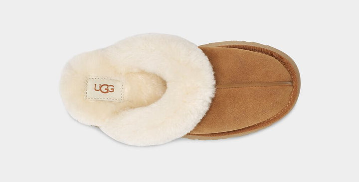 Disquette Slippers Chestnut