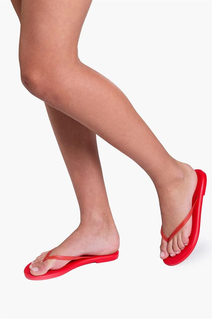 Aqua Red