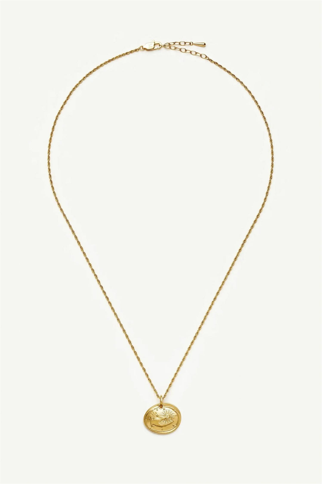The Fortune Talisman Rope Chain Necklace