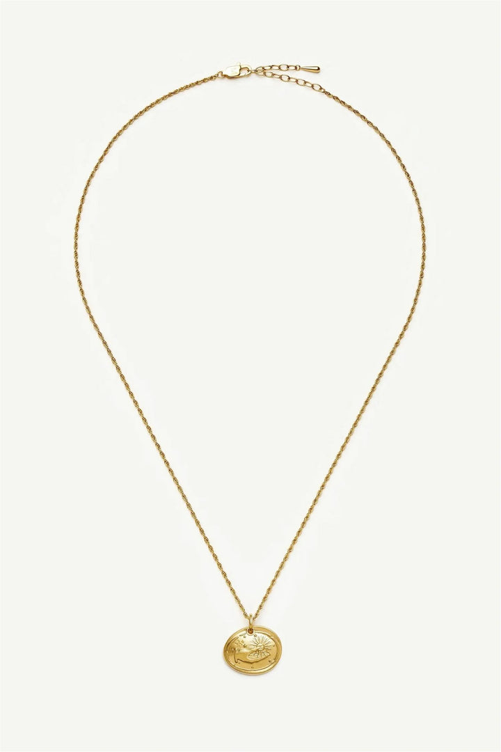 The Fortune Talisman Rope Chain Necklace