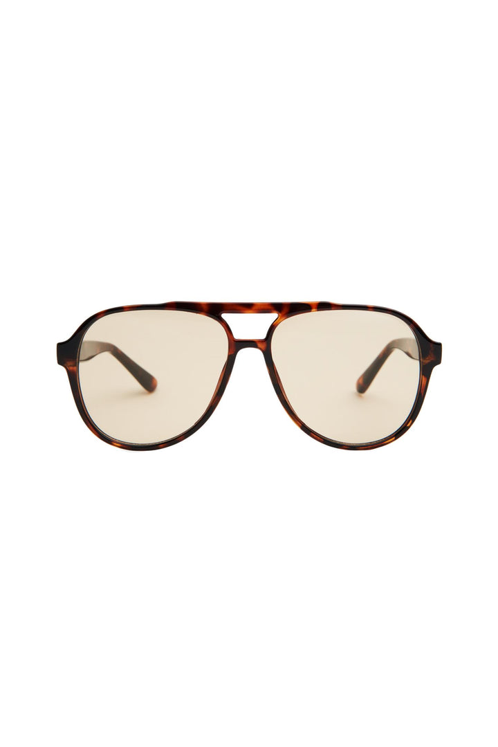 Stevie Tortoise/Brown