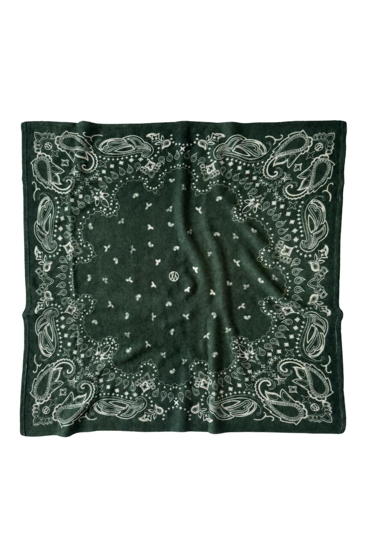 Cashmere Paisley Scarf 65 cm. Green