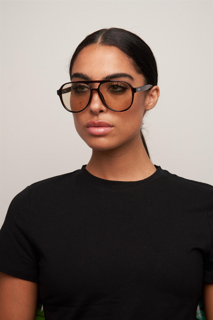 Stevie Tortoise/Brown